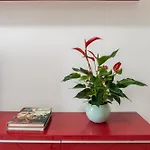 Terrazza San Lorenzo - Luxury - Centro Apartamento Roma